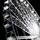 Ferris